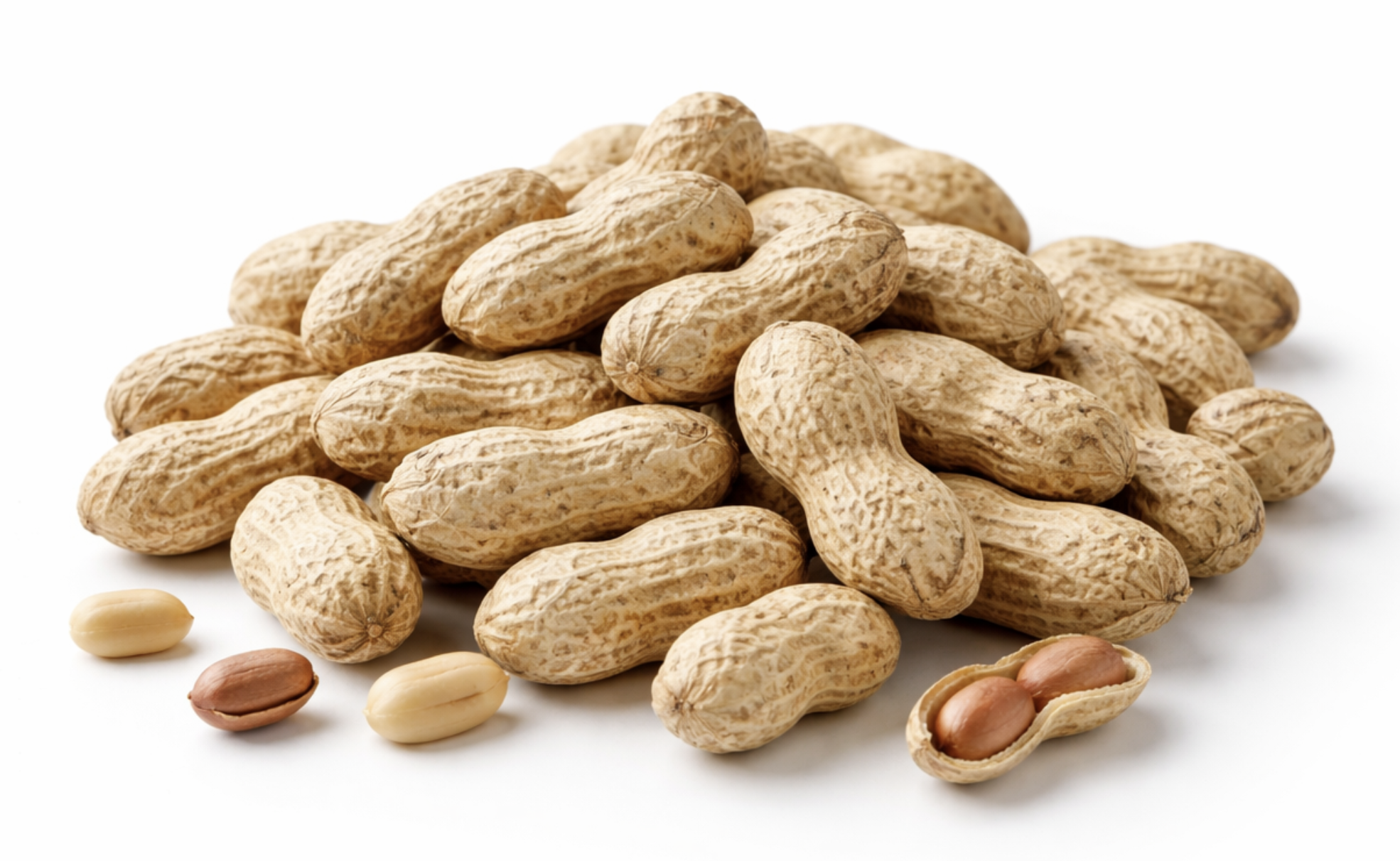 Groundnut